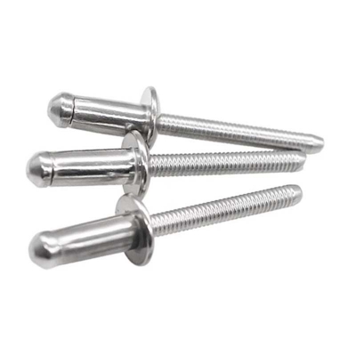 Stainless Hemlock Rivets