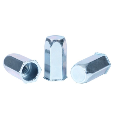 Reduced Head Full Hex Rivet Nuts